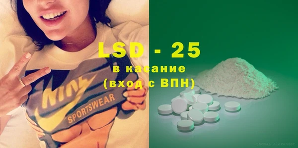 PSILOCYBIN Алзамай
