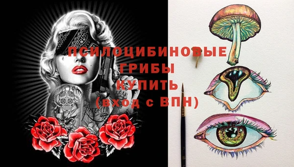 тгк Арсеньев